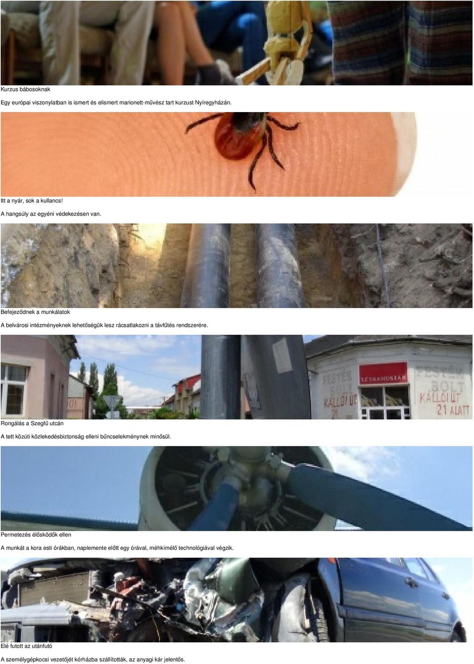 Rongálás a Szegfű utcán A tett közúti közlekedésbiztonság elleni bűncselekménynek minősül.