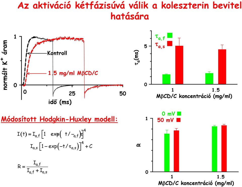 5 MβCD/C koncentráció (mg/ml) Módosított Hodgkin-Huxley modell: 1 mv 5 mv I t = I 1 exp
