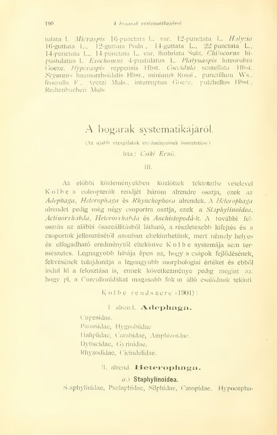 frontális K. \petzi Muls., interruptus Goeze, pulchellus Hbst, Redtenbacheri Muls A bogarak systemati kajáról. (Az ujabb vizsgálatok eredményeinek ismertetése \ Irta : Csíki Ern. Ili.