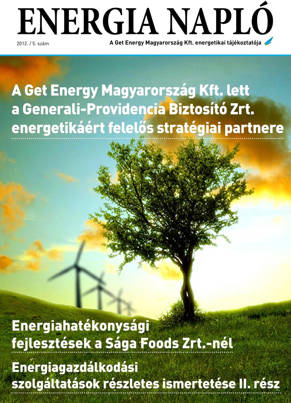 energetikáért felelős stratégiai partnere Energiahatékonysági