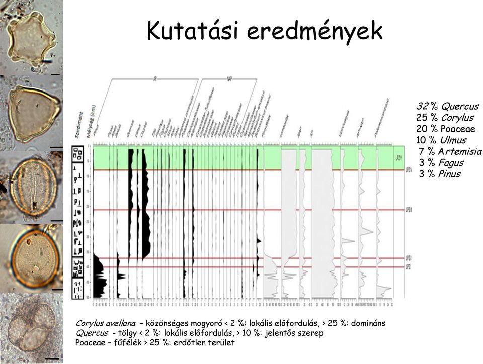 lokális előfordulás, > 25 %: domináns Quercus - tölgy < 2 %: lokális