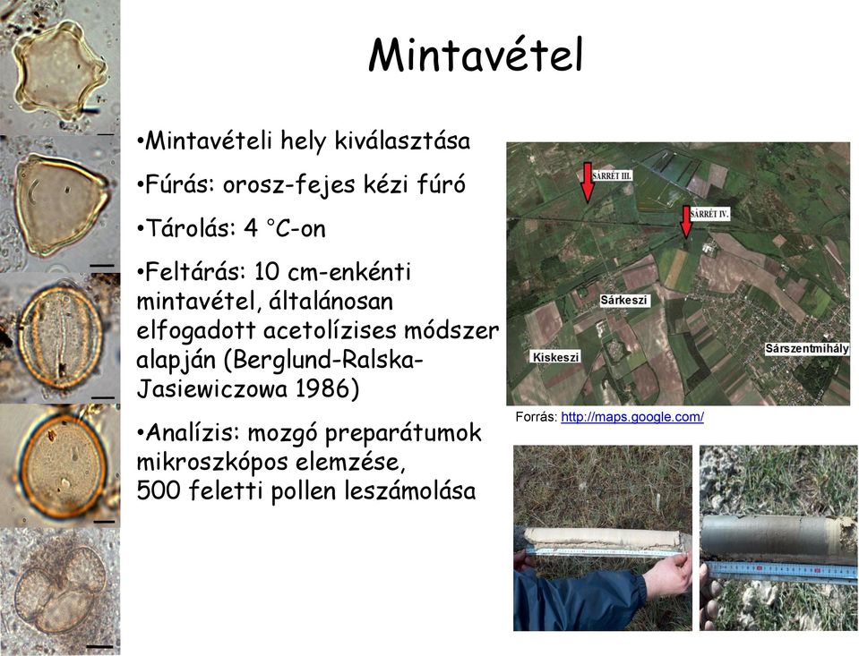 módszer alapján (Berglund-Ralska- Jasiewiczowa 1986) Analízis: mozgó preparátumok