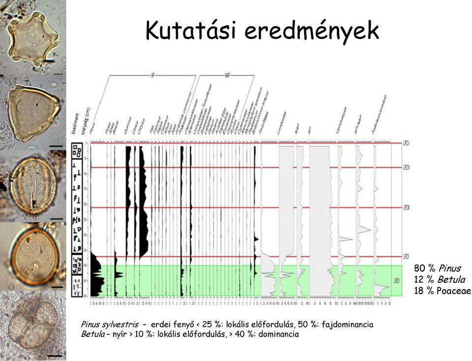 lokális előfordulás, 50 %: fajdominancia Betula