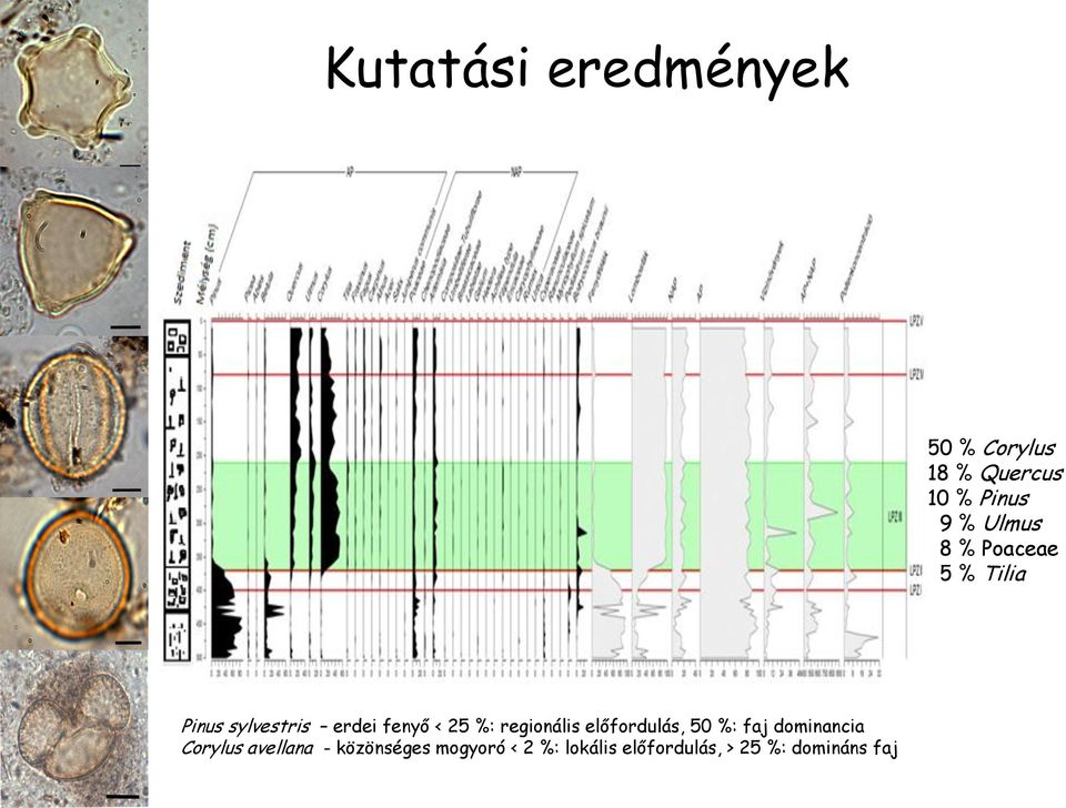 regionális előfordulás, 50 %: faj dominancia Corylus avellana -