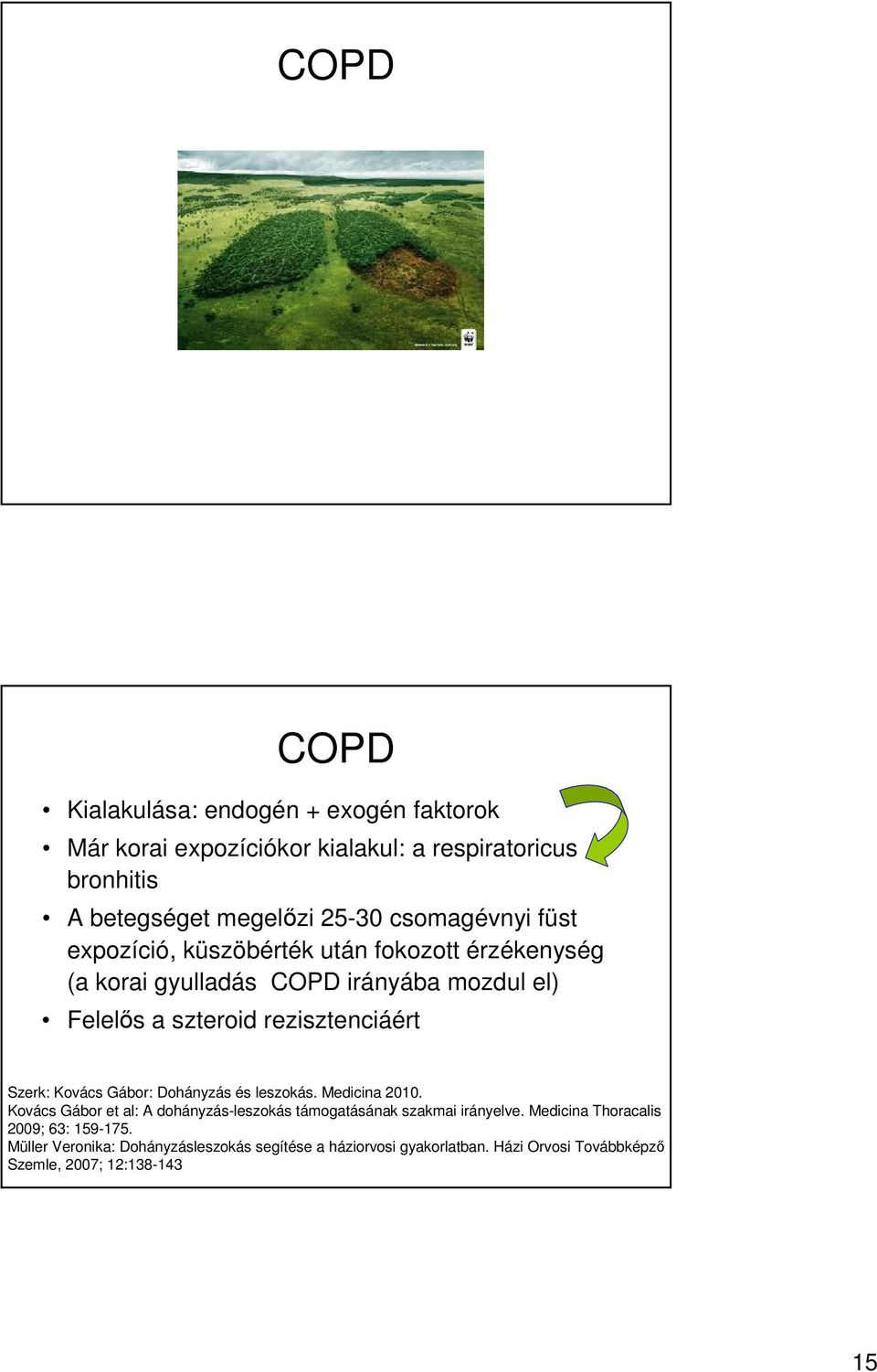 rezisztenciáért Szerk: Kovács Gábor: Dohányzás és leszokás. Medicina 2010.