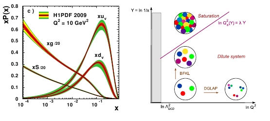 Color Glass Condensate Szaturáció: gluon pdf nem nőhet végtelenségig Qs(x) szaturációs skála (nő, ha x