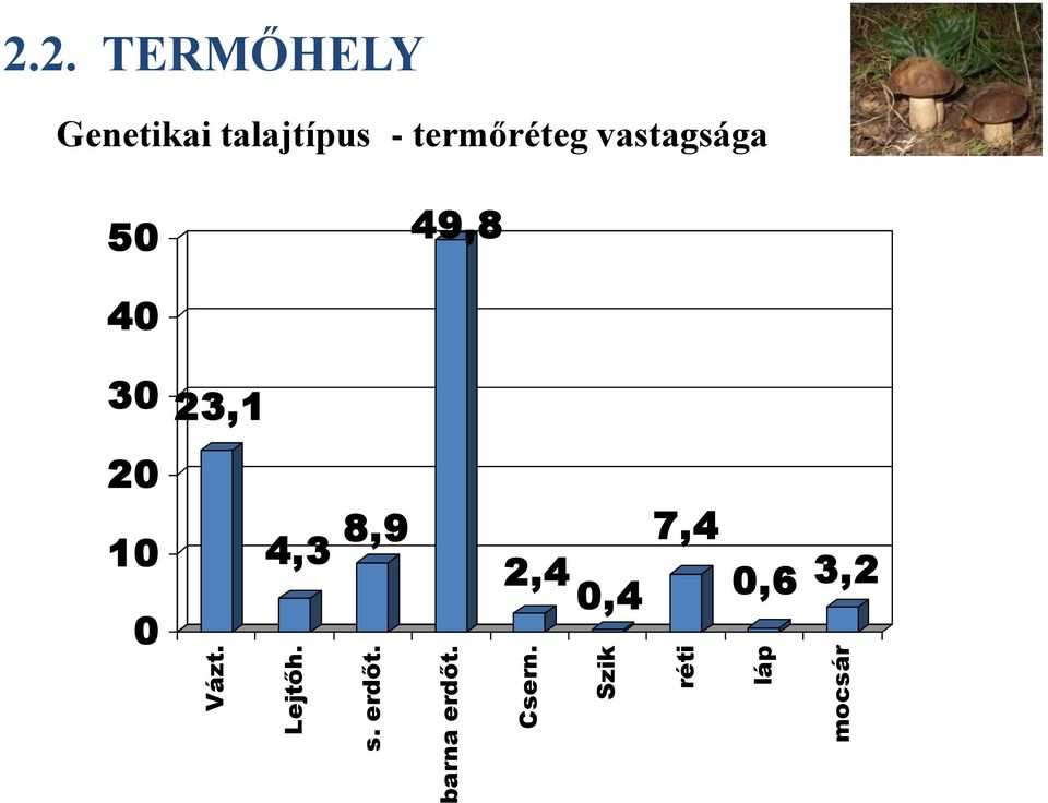 2. TERMŐHELY Genetikai talajtípus -