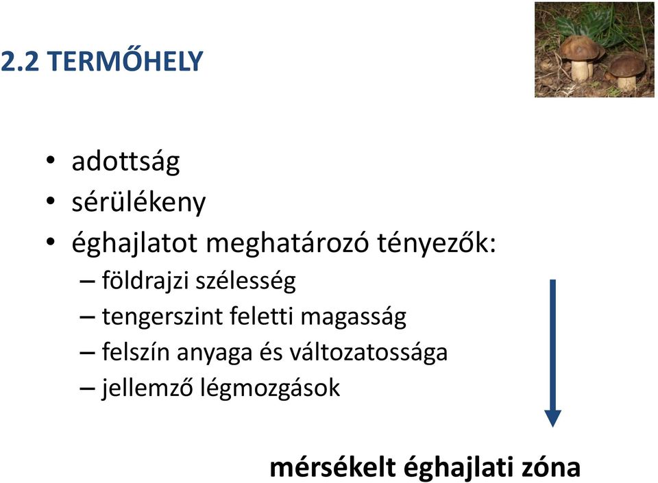 tengerszint feletti magasság felszín anyaga és