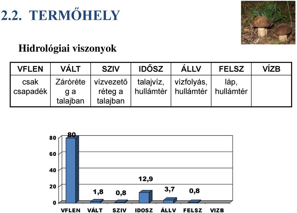 talajban talajvíz, hullámtér vízfolyás, hullámtér láp, hullámtér 80