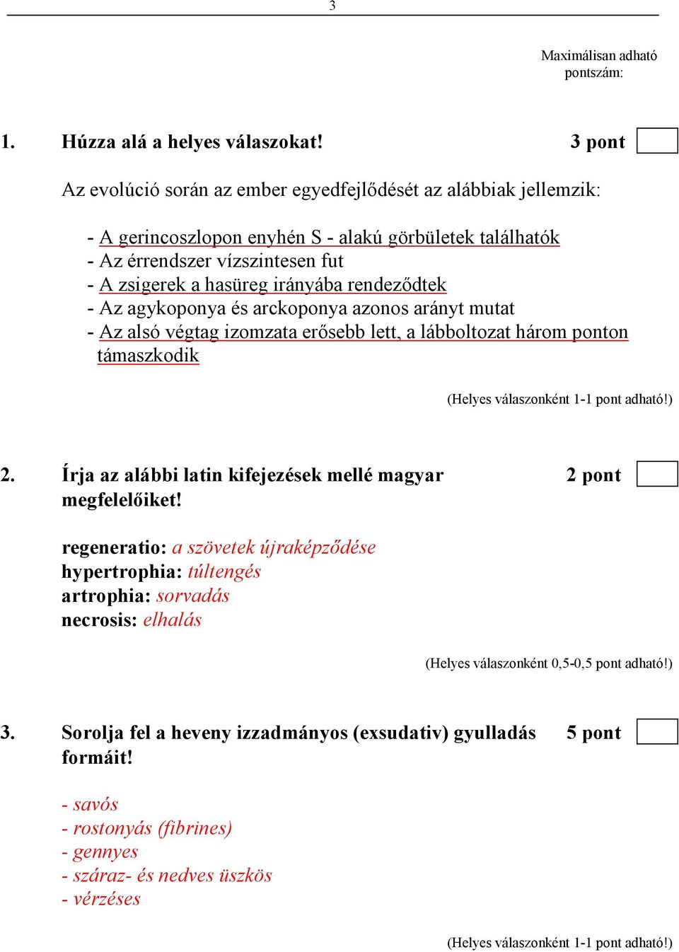 hasüreg irányába rendezıdtek - Az agykoponya és arckoponya azonos arányt mutat - Az alsó végtag izomzata erısebb lett, a lábboltozat három ponton támaszkodik 2.