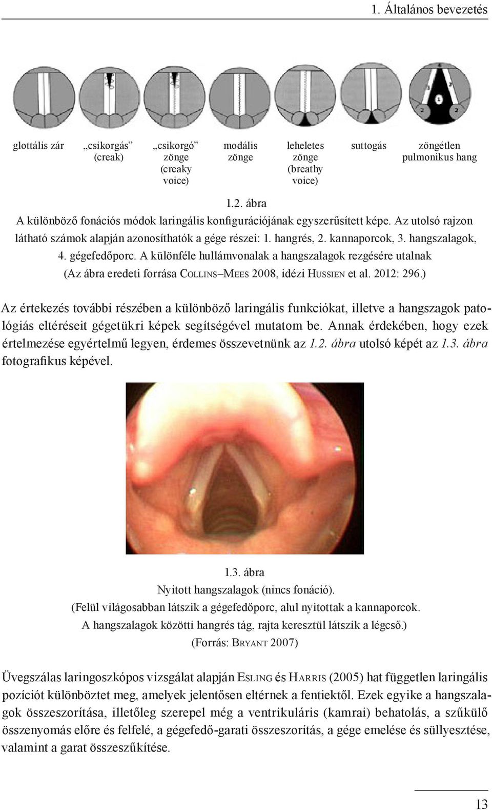 gégefedőporc. A különféle hullámvonalak a hangszalagok rezgésére utalnak (Az ábra eredeti forrása Collins Mees 2008, idézi Hussien et al. 2012: 296.