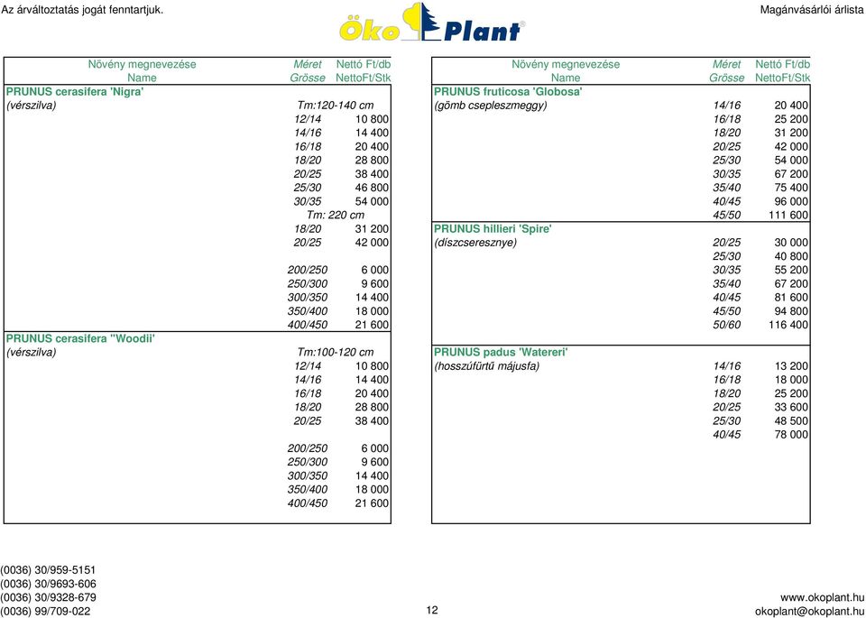 25/30 40 800 200/250 6 000 30/35 55 200 250/300 9 600 35/40 67 200 300/350 14 400 40/45 81 600 350/400 18 000 45/50 94 800 400/450 21 600 50/60 116 400 PRUNUS cerasifera ''Woodii' (vérszilva)