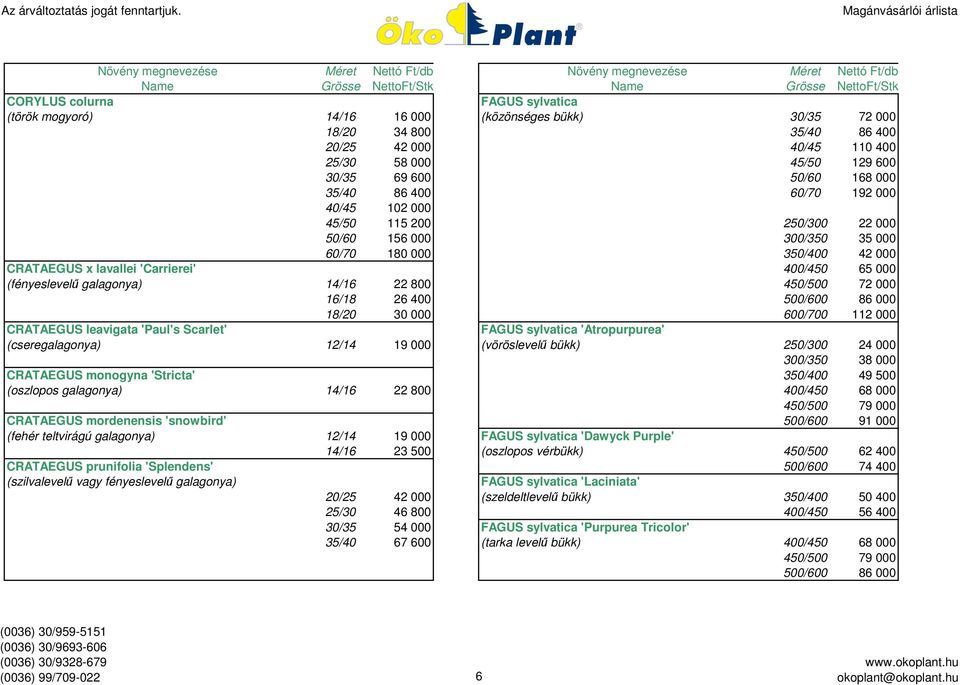 galagonya) 14/16 22 800 450/500 72 000 16/18 26 400 500/600 86 000 18/20 30 000 600/700 112 000 CRATAEGUS leavigata 'Paul's Scarlet' FAGUS sylvatica 'Atropurpurea' (cseregalagonya) 12/14 19 000