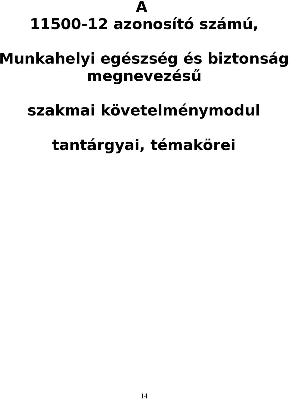 biztonság megnevezésű szakmai
