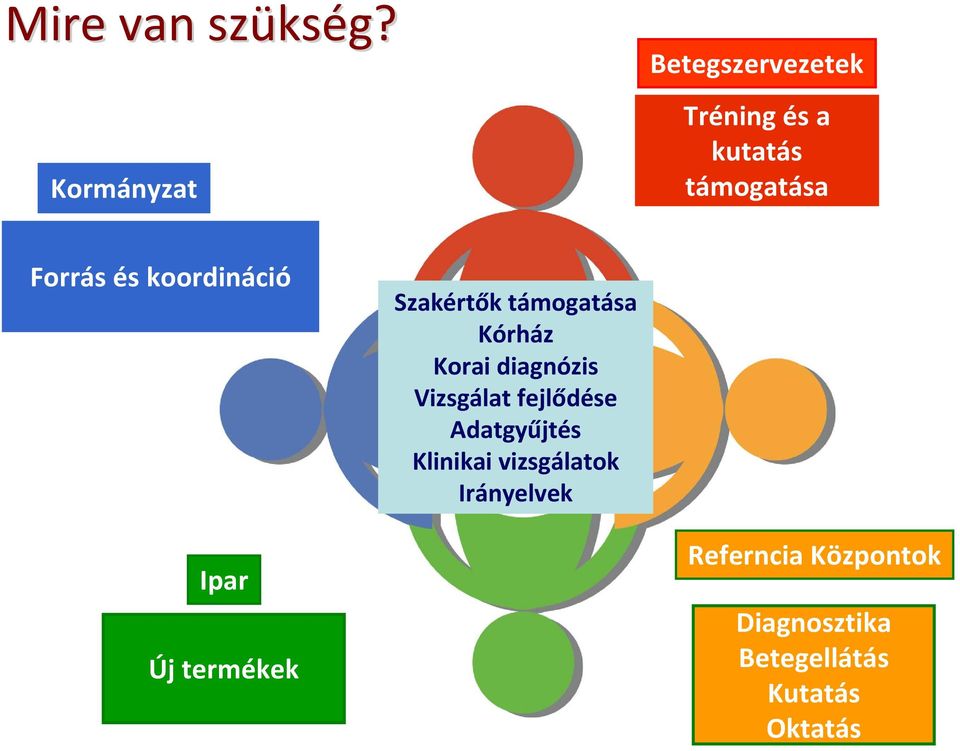 koordináció Szakértők támogatása Kórház Korai diagnózis Vizsgálat