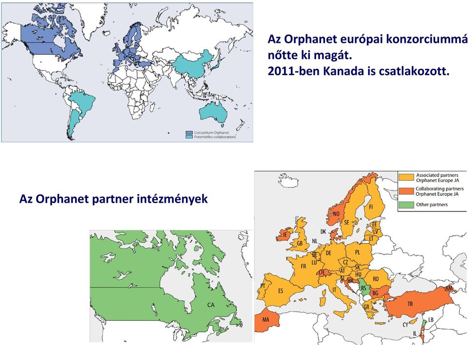 európai konzorciummá nőtte