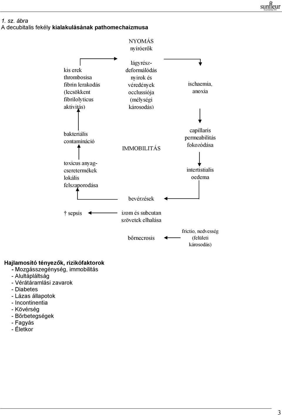 nyirok és véredények occlussiója (mélységi károsodás) ischaemia, anoxia bakteriális contamináció toxicus anyagcseretermékek lokális felszaporodása sepsis IMMOBILITÁS
