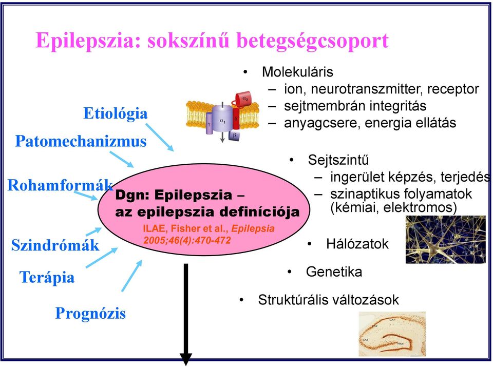 , Epilepsia 2005;46(4):470-472 Molekuláris ion, neurotranszmitter, receptor sejtmembrán integritás