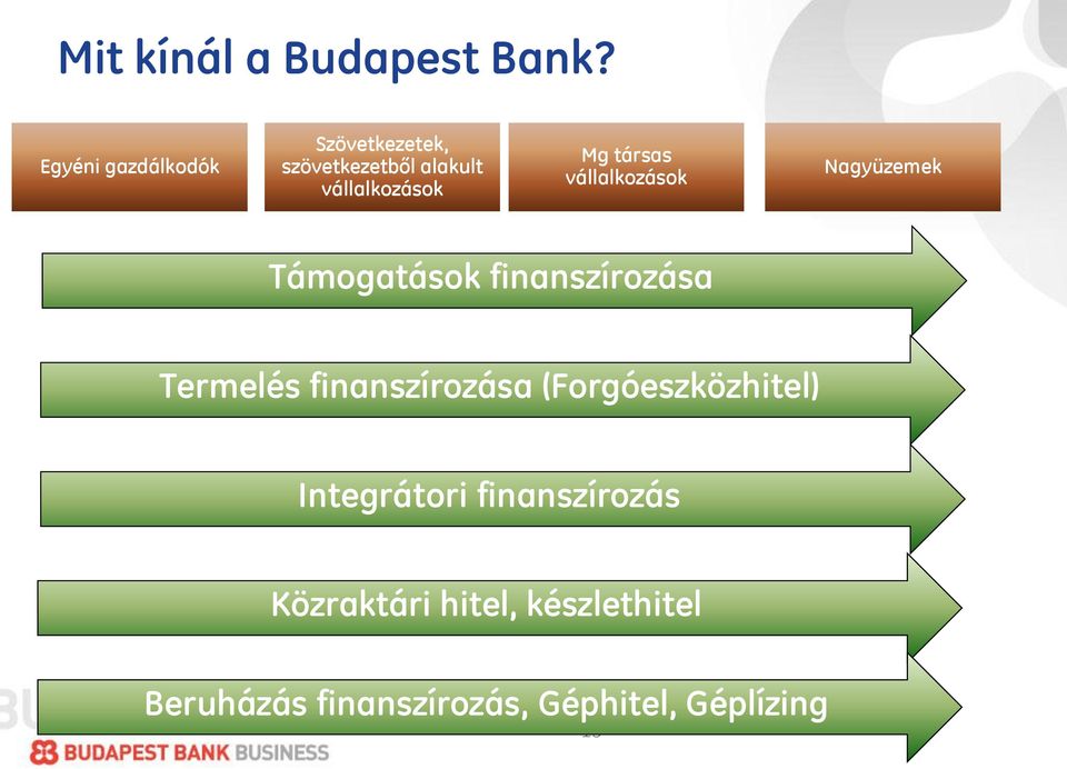 társas vállalkozások Nagyüzemek Támogatások finanszírozása Termelés