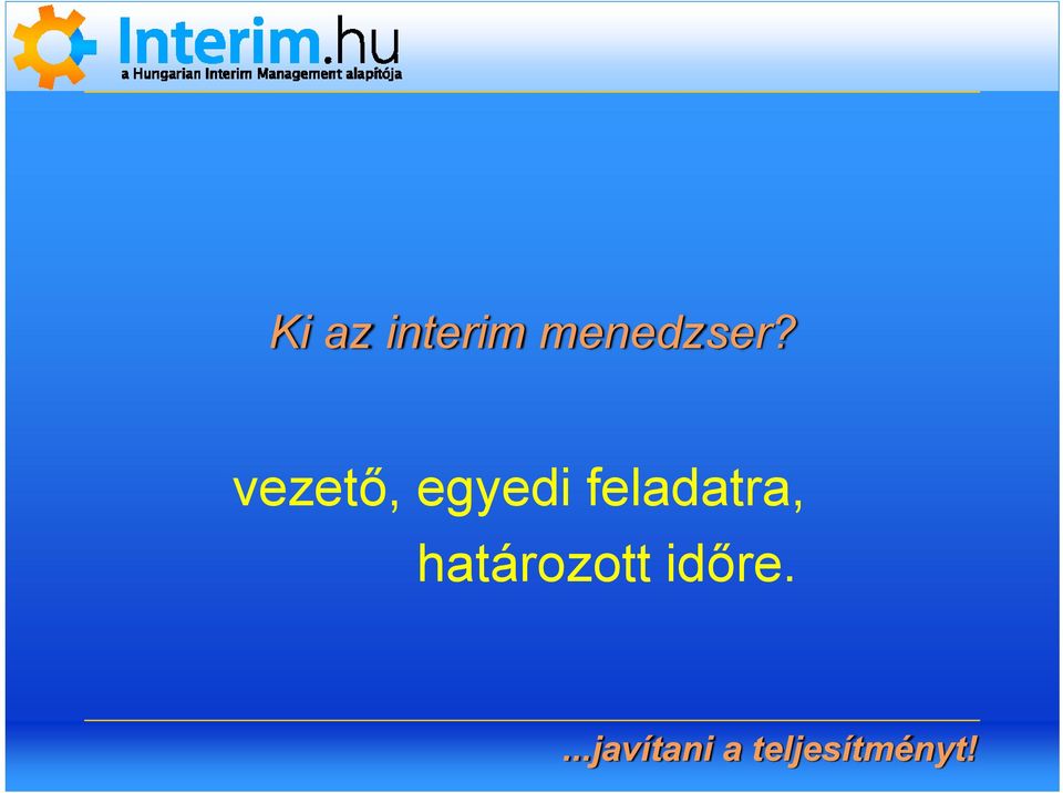 vezető, egyedi
