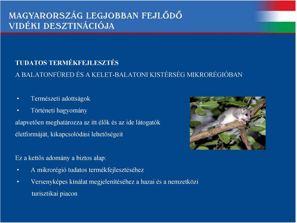 lehetőségeit Ez a kettős adomány a biztos alap: A mikrorégió tudatos