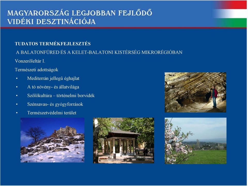 tó növény- és állatvilága Szőlőkultúra történelmi