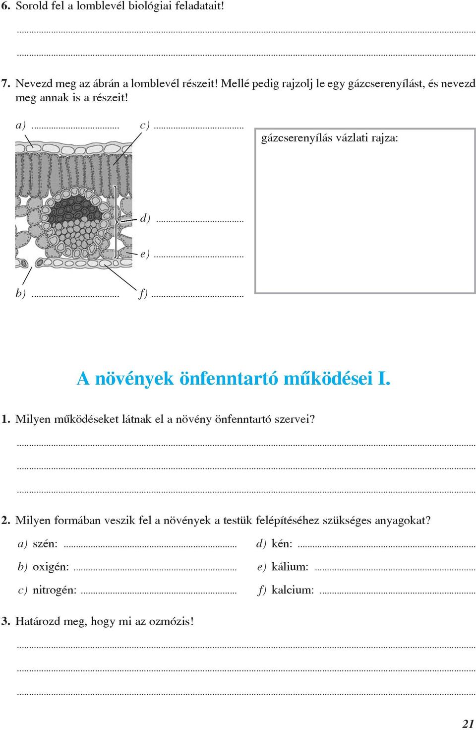 .. f)... A növények önfenntartó mûködései I. 1. Milyen mûködéseket látnak el a növény önfenntartó szervei? 2.