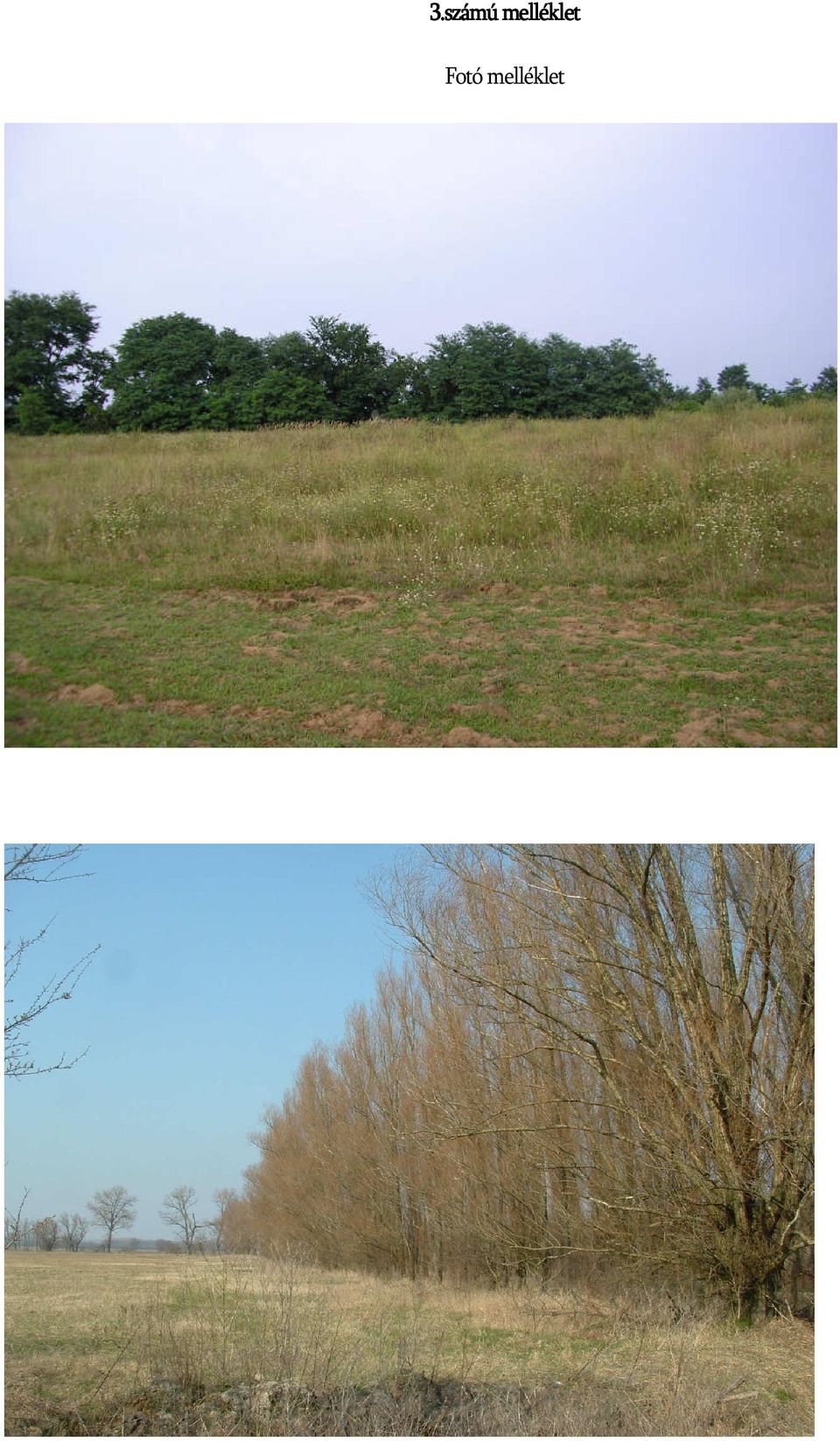 Fotó