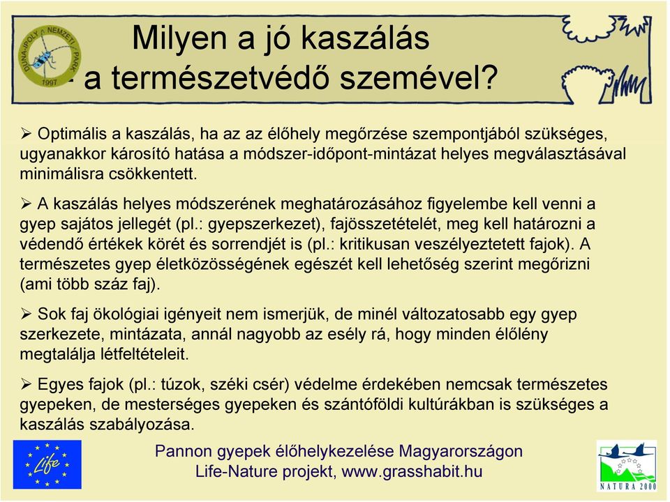 A kaszálás helyes módszerének meghatározásához figyelembe kell venni a gyep sajátos jellegét (pl.: gyepszerkezet), fajösszetételét, meg kell határozni a védendő értékek körét és sorrendjét is (pl.