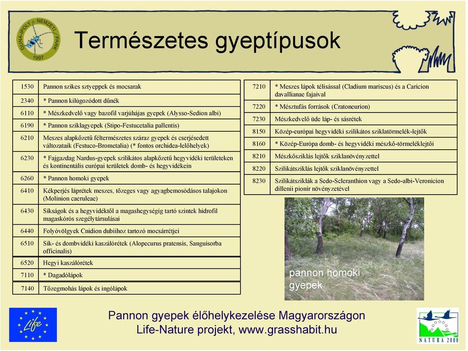 szilikátos alapkőzetű hegyvidéki területeken és kontinentális európai területek domb- és hegyvidékein 6260 * Pannon homoki gyepek 6410 Kékperjés láprétek meszes, tőzeges vagy agyagbemosódásos