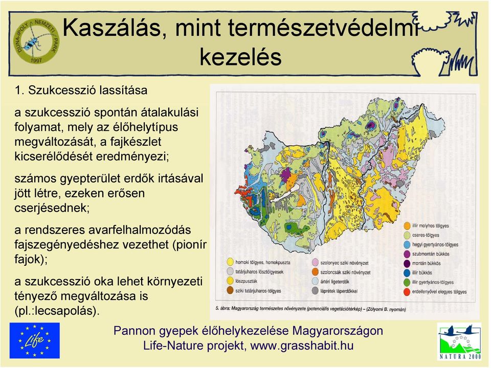 a fajkészlet kicserélődését eredményezi; számos gyepterület erdők irtásával jött létre, ezeken erősen