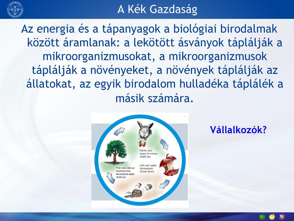 a mikroorganizmusok táplálják a növényeket, a növények táplálják az