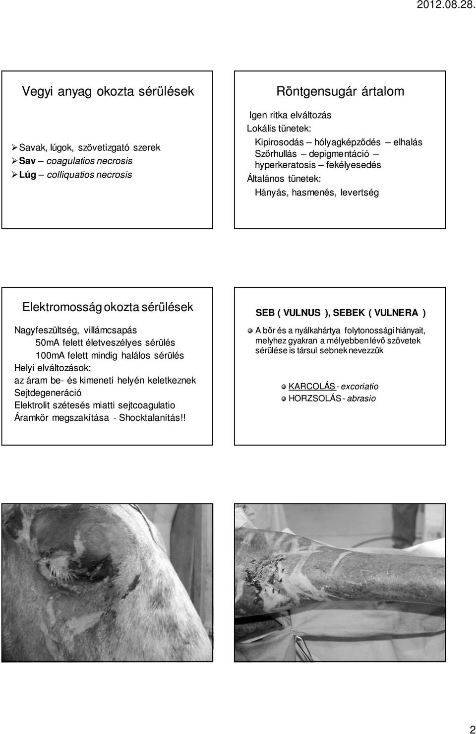 életveszélyes sérülés 100mA felett mindig halálos sérülés Helyi elváltozások: az áram be- és kimeneti helyén keletkeznek Sejtdegeneráció Elektrolit szétesés miatti sejtcoagulatio Áramkör megszakítása