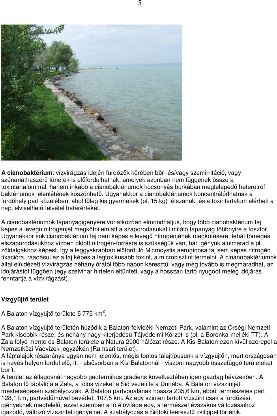 Ugyanakkor a cianobaktériumok koncentrálódhatnak a fürdıhely part közelében, ahol fıleg kis gyermekek (pl. 15 kg) játszanak, és a toxintartalom elérheti a napi elviselhetı felvétel határértékét.