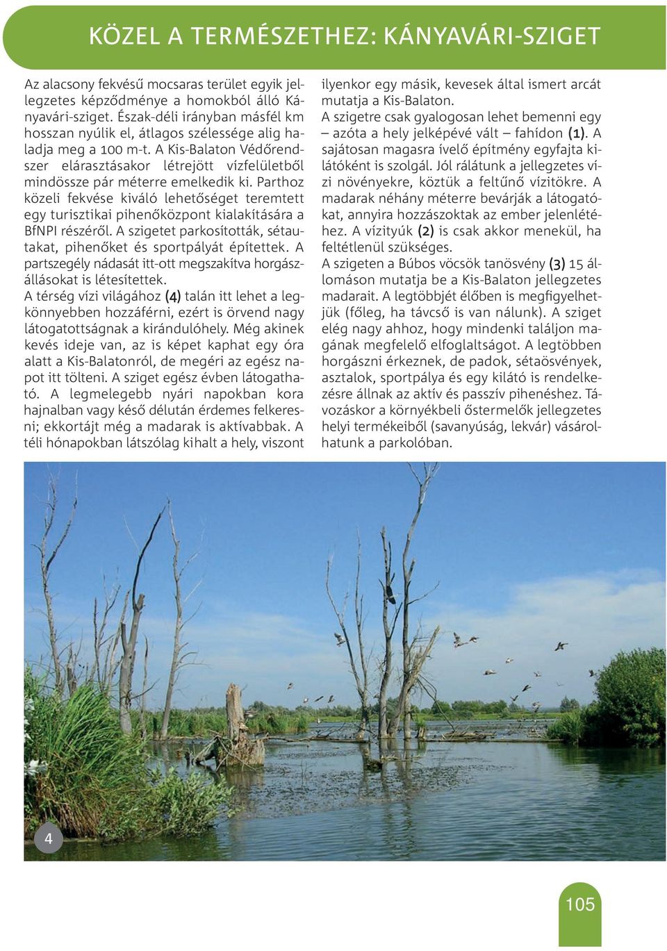 Parthoz közeli fekvése kiváló lehetőséget teremtett egy turisztikai pihenőközpont kialakítására a BfNPI részéről. A szigetet parkosították, sétautakat, pihenőket és sportpályát építettek.