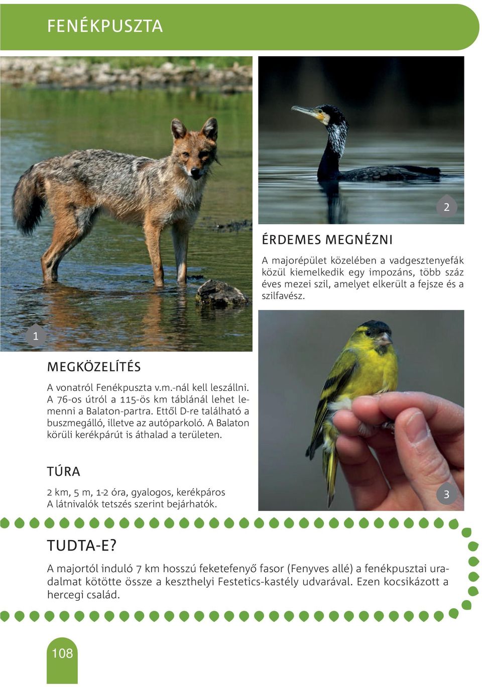 Ettől D-re található a buszmegálló, illetve az autóparkoló. A Balaton körüli kerékpárút is áthalad a területen.