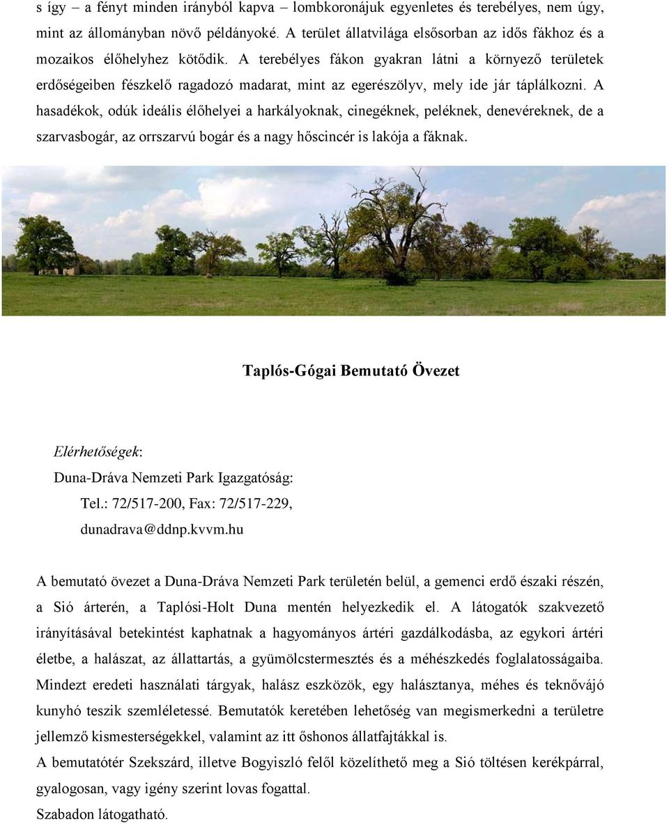 A terebélyes fákon gyakran látni a környező területek erdőségeiben fészkelő ragadozó madarat, mint az egerészölyv, mely ide jár táplálkozni.