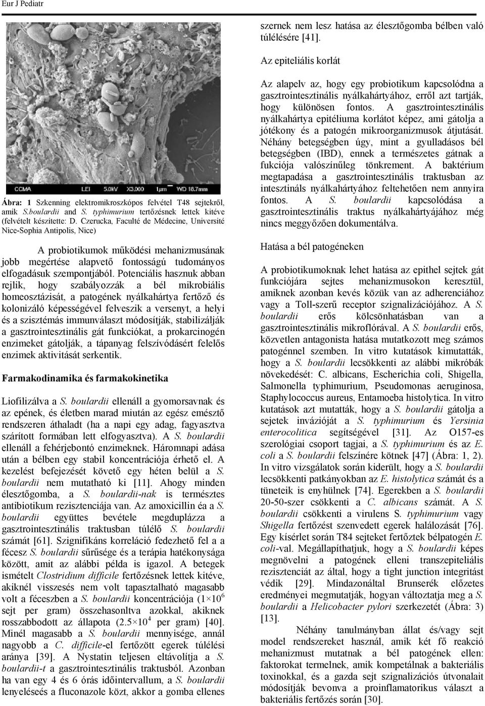 Czerucka, Faculté de Médecine, Université Nice-Sophia Antipolis, Nice) A probiotikumok működési mehanizmusának jobb megértése alapvető fontosságú tudományos elfogadásuk szempontjából.