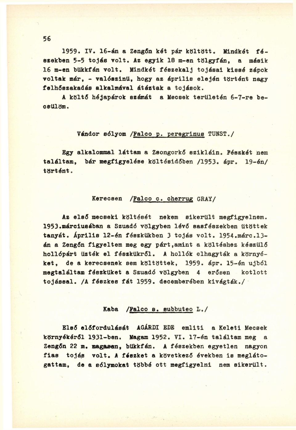 A költő héjapárok számát a Mecsek területén 6-7-re becsülöm. Vándor sólyom /Falco p. peregrinus TUNST./ Egy alkalommal láttam a Zsongorkő szikláin.