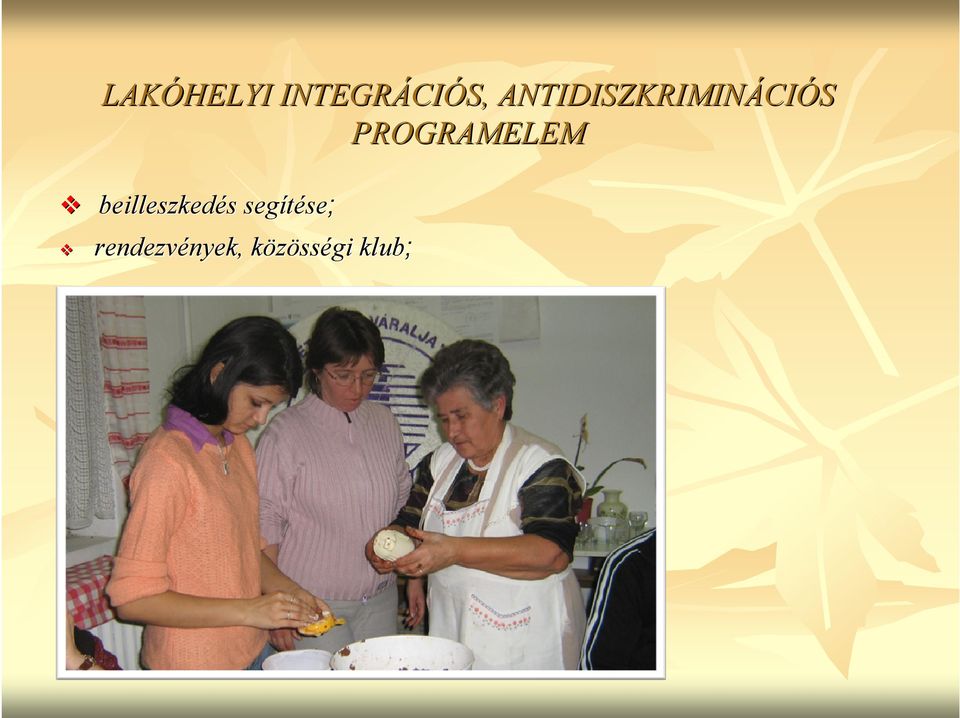 PROGRAMELEM beilleszkedés