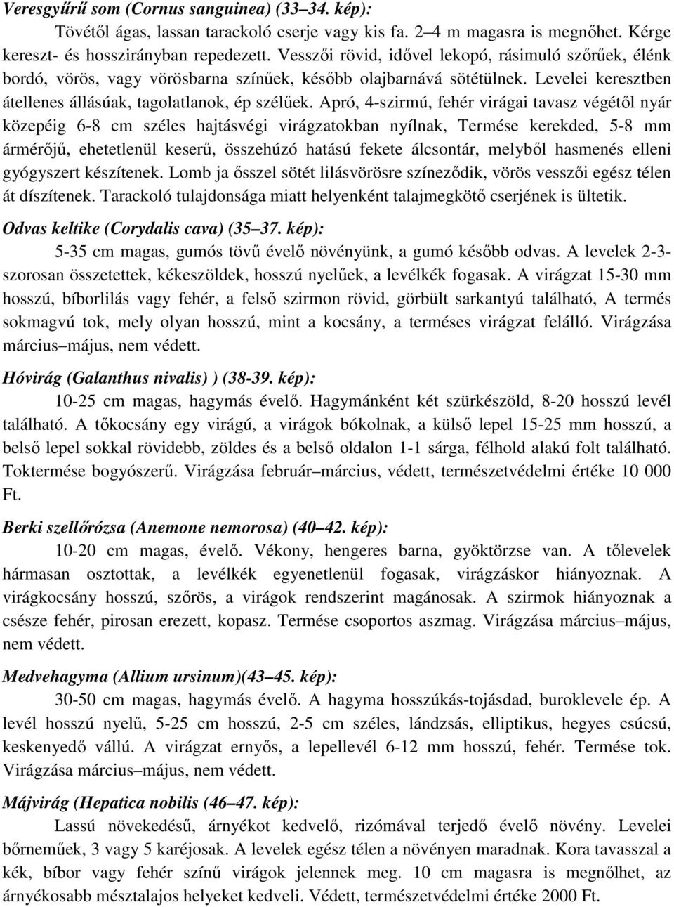 Apró, 4-szirmú, fehér virágai tavasz végétől nyár közepéig 6-8 cm széles hajtásvégi virágzatokban nyílnak, Termése kerekded, 5-8 mm ármérőjű, ehetetlenül keserű, összehúzó hatású fekete álcsontár,