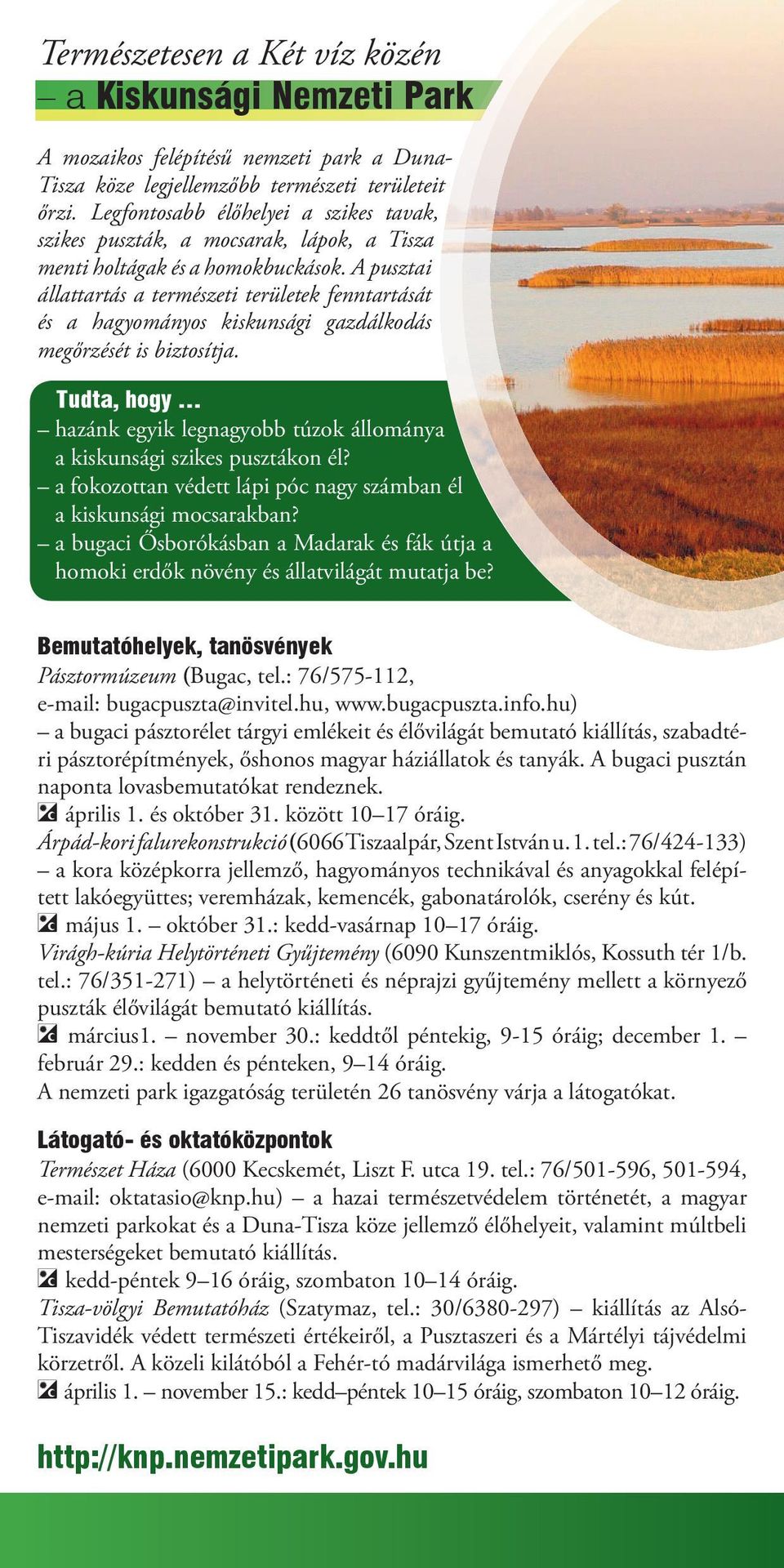 A pusztai állattartás a természeti területek fenntartását és a hagyományos kiskunsági gazdálkodás megőrzését is biztosítja. hazánk egyik legnagyobb túzok állománya a kiskunsági szikes pusztákon él?