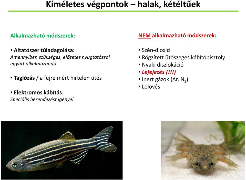 hirtelen ütés Elektromos kábítás: Speciális berendezést igényel NEM alkalmazható módszerek: