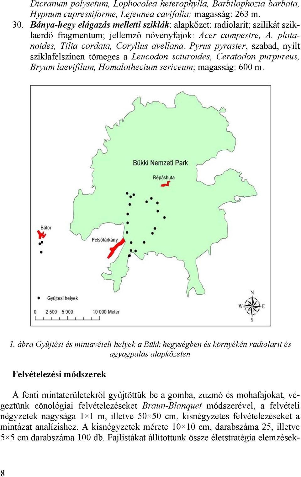 platanoides, Tilia cordata, Coryllus avellana, Pyrus pyraster, szabad, nyílt sziklafelszínen tömeges a Leucodon sciuroides, Ceratodon purpureus, Bryum laevifilum, Homalothecium sericeum; magasság: