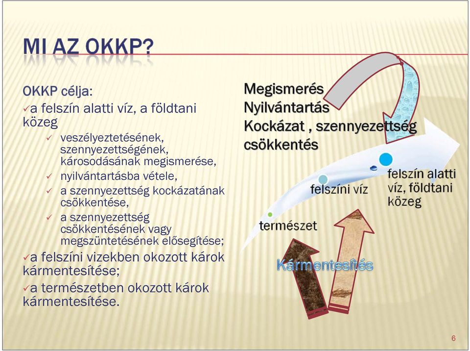 csökkentésének vagy megszüntetésének elősegítése; a felszíni vizekben okozott károk kármentesítése; a