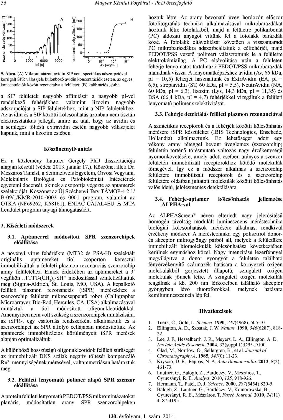 a SIP felületek nagyobb affinitását a nagyobb pi-vel rendelkező fehérjékhez, valamint lizozim nagyobb adszorpcióját a SIP felületekhez, mint a NIP felületekhez.