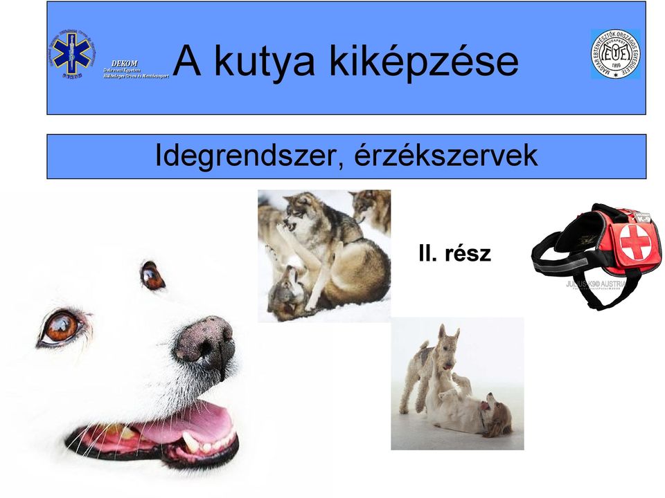 Idegrendszer,