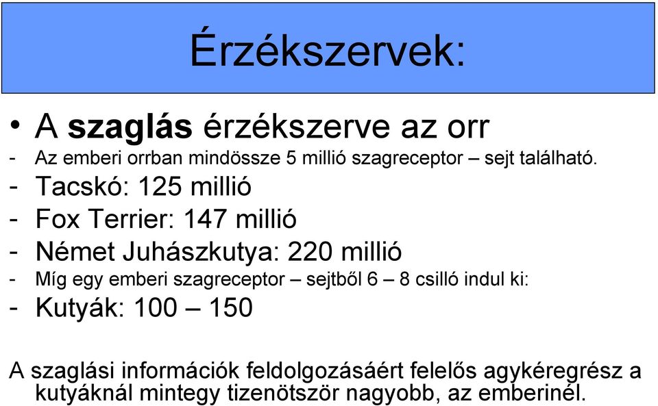 - Tacskó: 125 millió - Fox Terrier: 147 millió - Német Juhászkutya: 220 millió - Míg egy