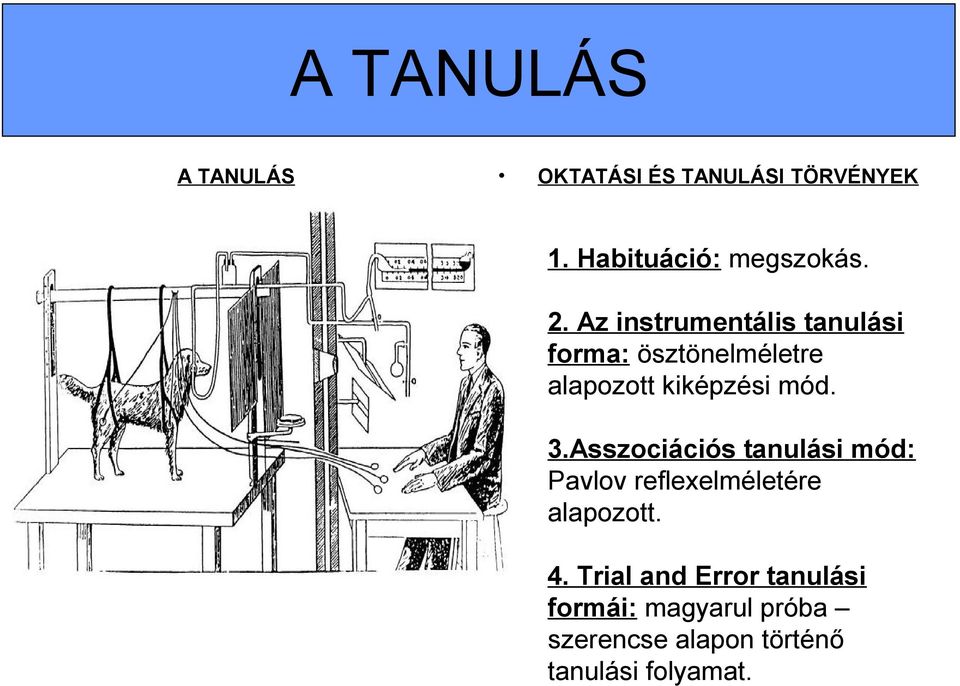 Habituáció: megszokás. 2. Az instrumentális tanulási forma: ösztönelméletre alapozott kiképzési mód. 3.