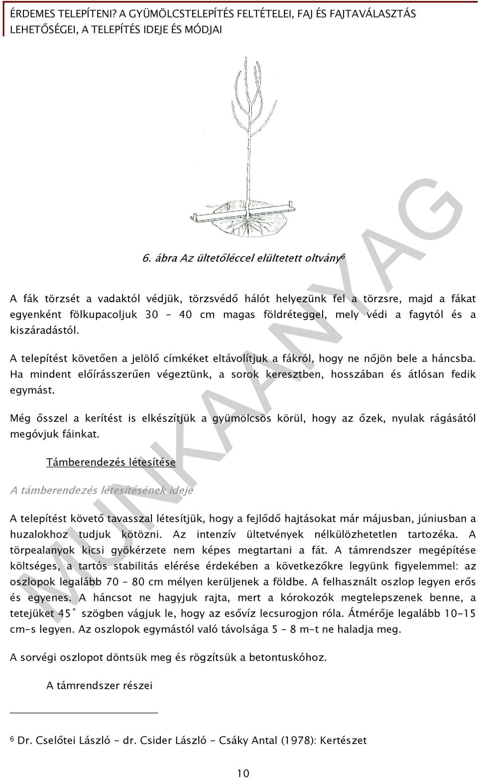 Ha mindent előírásszerűen végeztünk, a sorok keresztben, hosszában és átlósan fedik egymást. Még ősszel a kerítést is elkészítjük a gyümölcsös körül, hogy az őzek, nyulak rágásától megóvjuk fáinkat.